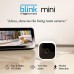 Blink Home Security
