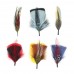 Assorted Feather Packs Accessories for Hats Fedoras